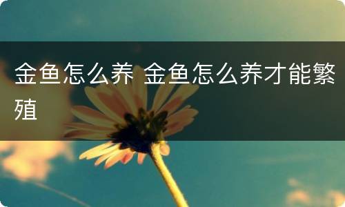 金鱼怎么养 金鱼怎么养才能繁殖