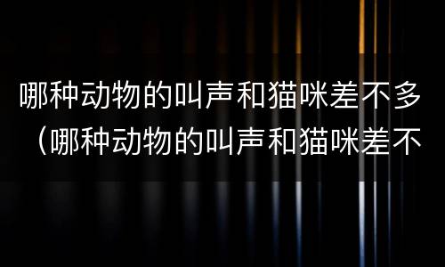 哪种动物的叫声和猫咪差不多（哪种动物的叫声和猫咪差不多?小鸡和猎豹）