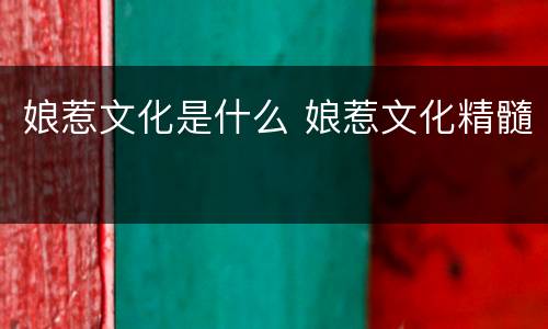 娘惹文化是什么 娘惹文化精髓