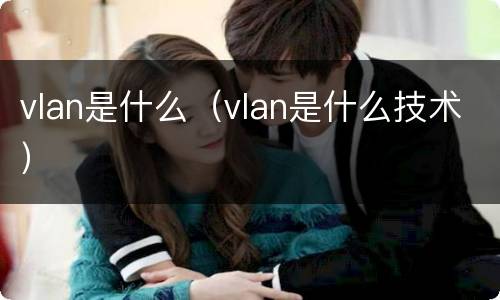 vlan是什么（vlan是什么技术）