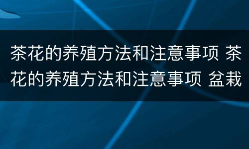 茶花的养殖方法和注意事项 茶花的养殖方法和注意事项 盆栽视频