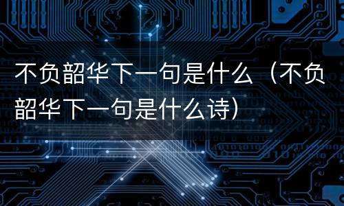 不负韶华下一句是什么（不负韶华下一句是什么诗）