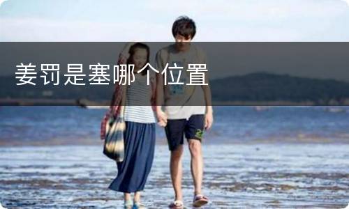 姜罚是塞哪个位置