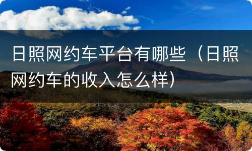 日照网约车平台有哪些（日照网约车的收入怎么样）