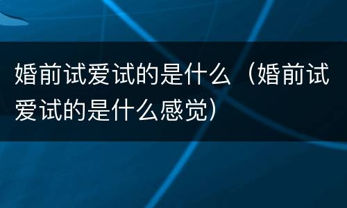 婚前试爱试的是什么（婚前试爱试的是什么感觉）