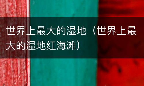 世界上最大的湿地（世界上最大的湿地红海滩）