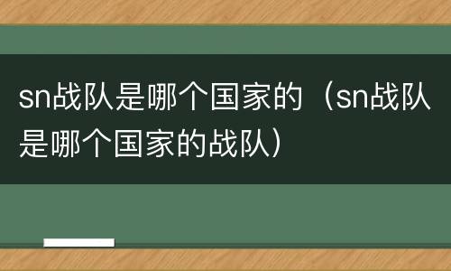 sn战队是哪个国家的（sn战队是哪个国家的战队）