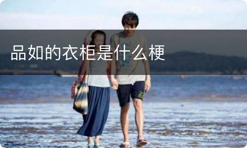 品如的衣柜是什么梗
