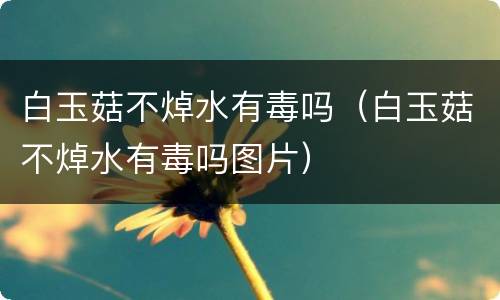 白玉菇不焯水有毒吗（白玉菇不焯水有毒吗图片）