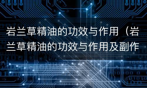 岩兰草精油的功效与作用（岩兰草精油的功效与作用及副作用）