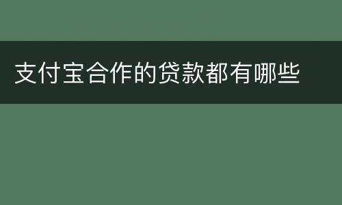 支付宝合作的贷款都有哪些