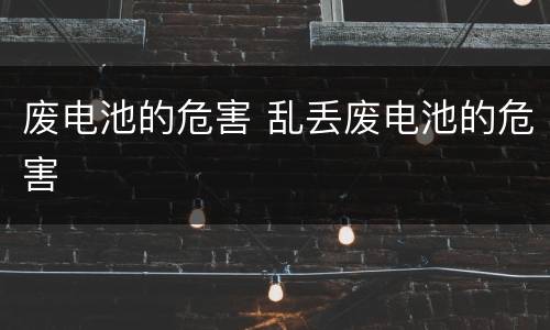 废电池的危害 乱丢废电池的危害