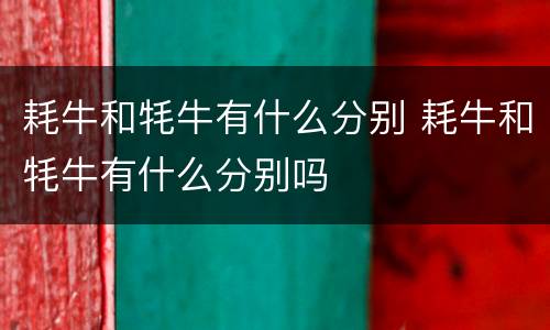 耗牛和牦牛有什么分别 耗牛和牦牛有什么分别吗