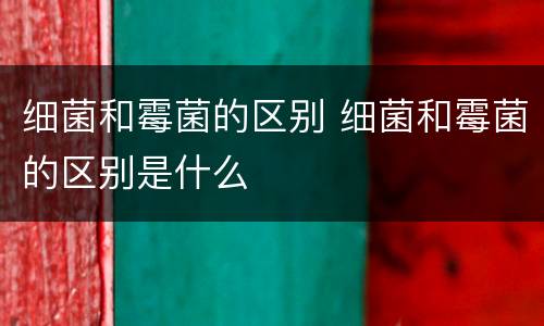 细菌和霉菌的区别 细菌和霉菌的区别是什么
