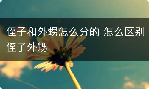 侄子和外甥怎么分的 怎么区别侄子外甥