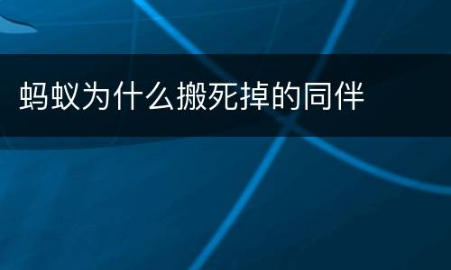 蚂蚁为什么搬死掉的同伴