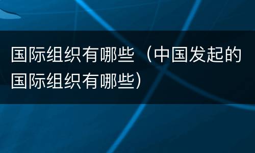 国际组织有哪些（中国发起的国际组织有哪些）