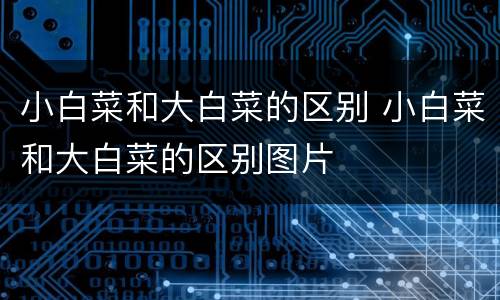 小白菜和大白菜的区别 小白菜和大白菜的区别图片