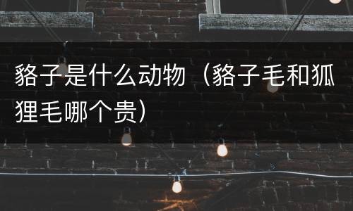 貉子是什么动物（貉子毛和狐狸毛哪个贵）