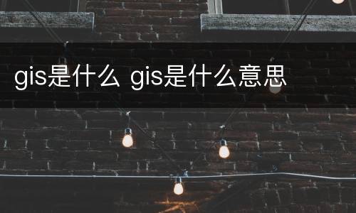gis是什么 gis是什么意思