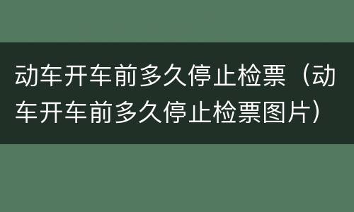 动车开车前多久停止检票（动车开车前多久停止检票图片）