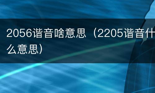 2056谐音啥意思（2205谐音什么意思）