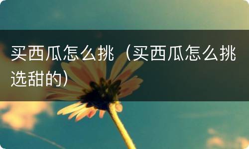 买西瓜怎么挑（买西瓜怎么挑选甜的）