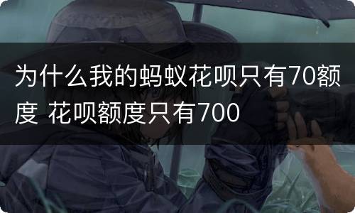 为什么我的蚂蚁花呗只有70额度 花呗额度只有700