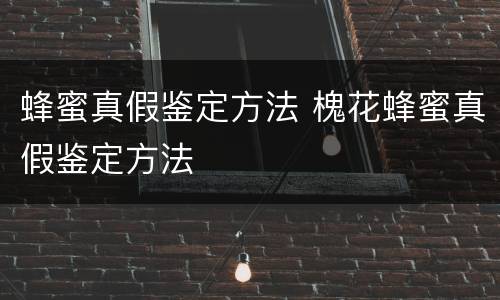 蜂蜜真假鉴定方法 槐花蜂蜜真假鉴定方法