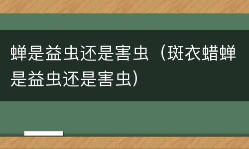 蝉是益虫还是害虫（斑衣蜡蝉是益虫还是害虫）