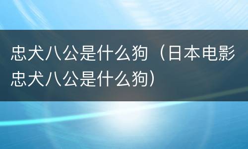 忠犬八公是什么狗（日本电影忠犬八公是什么狗）