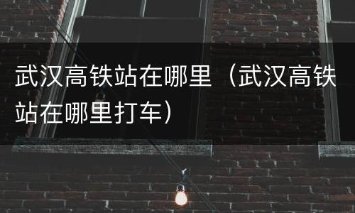 武汉高铁站在哪里（武汉高铁站在哪里打车）