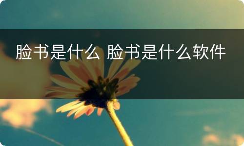  脸书是什么 脸书是什么软件