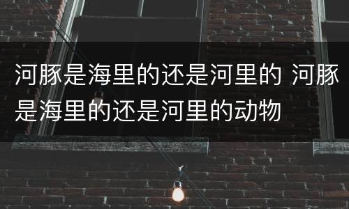 河豚是海里的还是河里的 河豚是海里的还是河里的动物