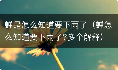 蝉是怎么知道要下雨了（蝉怎么知道要下雨了?多个解释）