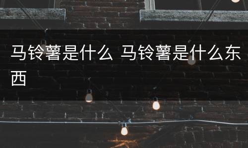马铃薯是什么 马铃薯是什么东西