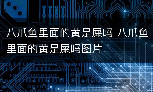 八爪鱼里面的黄是屎吗 八爪鱼里面的黄是屎吗图片