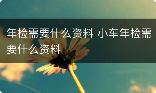 年检需要什么资料 小车年检需要什么资料