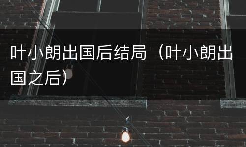 叶小朗出国后结局（叶小朗出国之后）
