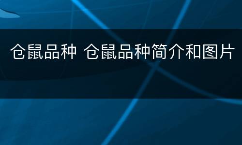仓鼠品种 仓鼠品种简介和图片