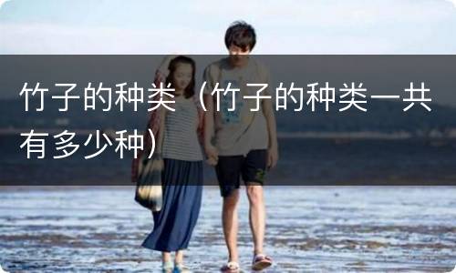 竹子的种类（竹子的种类一共有多少种）