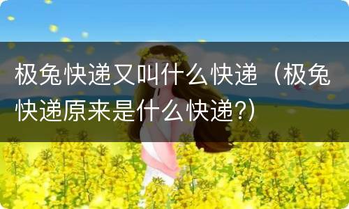 极兔快递又叫什么快递（极兔快递原来是什么快递?）