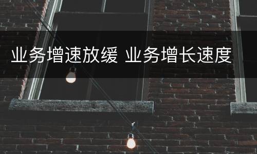 业务增速放缓 业务增长速度