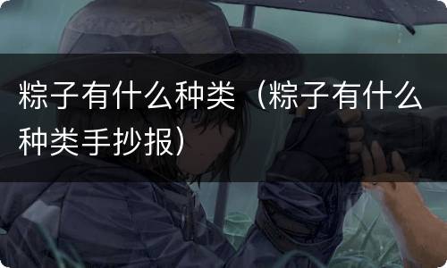粽子有什么种类（粽子有什么种类手抄报）