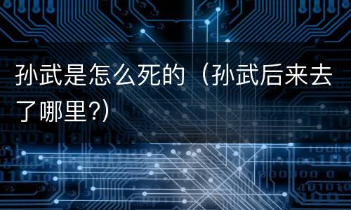 孙武是怎么死的（孙武后来去了哪里?）