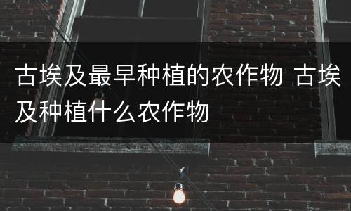 古埃及最早种植的农作物 古埃及种植什么农作物