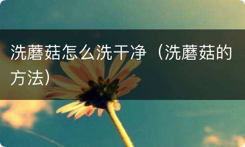 洗蘑菇怎么洗干净（洗蘑菇的方法）