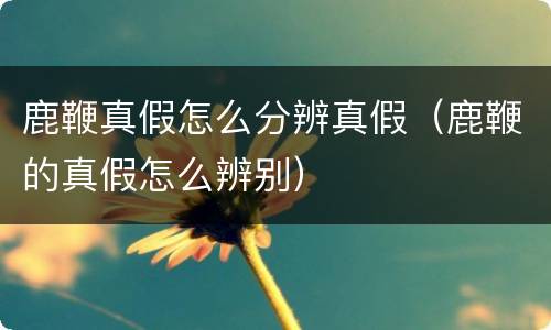 鹿鞭真假怎么分辨真假（鹿鞭的真假怎么辨别）