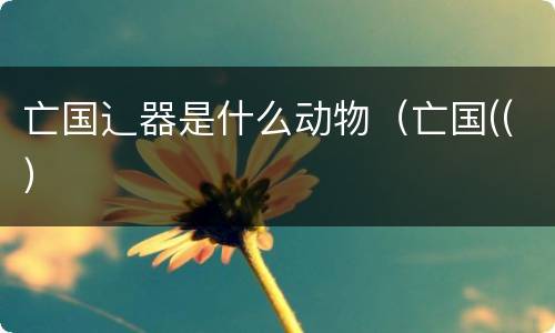 亡国辶器是什么动物（亡国((）