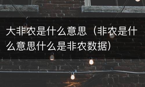 大非农是什么意思（非农是什么意思什么是非农数据）